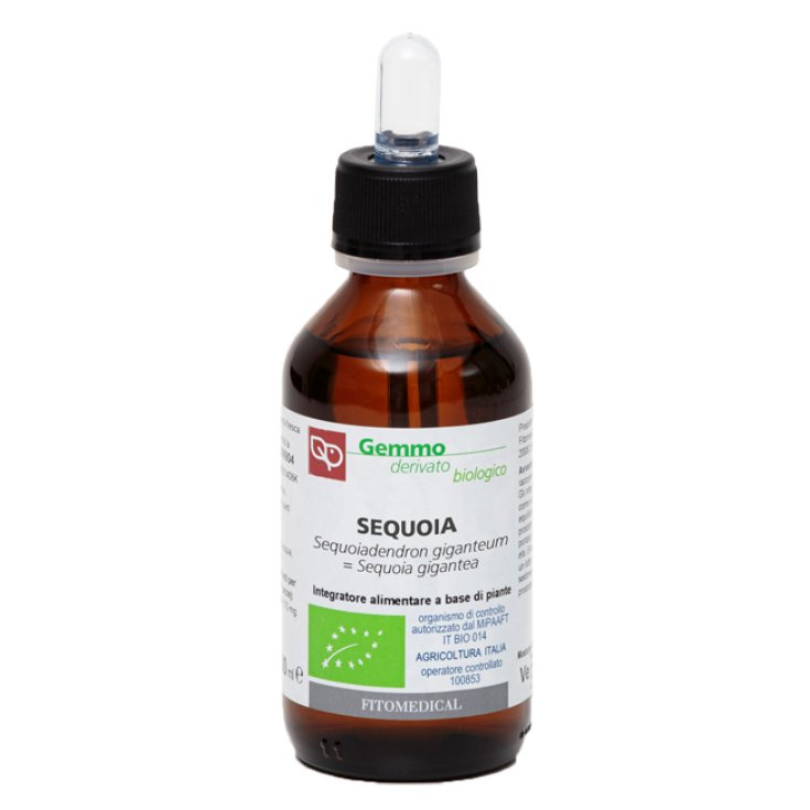 Séquoia Bio Mg Fitomedical 200ml