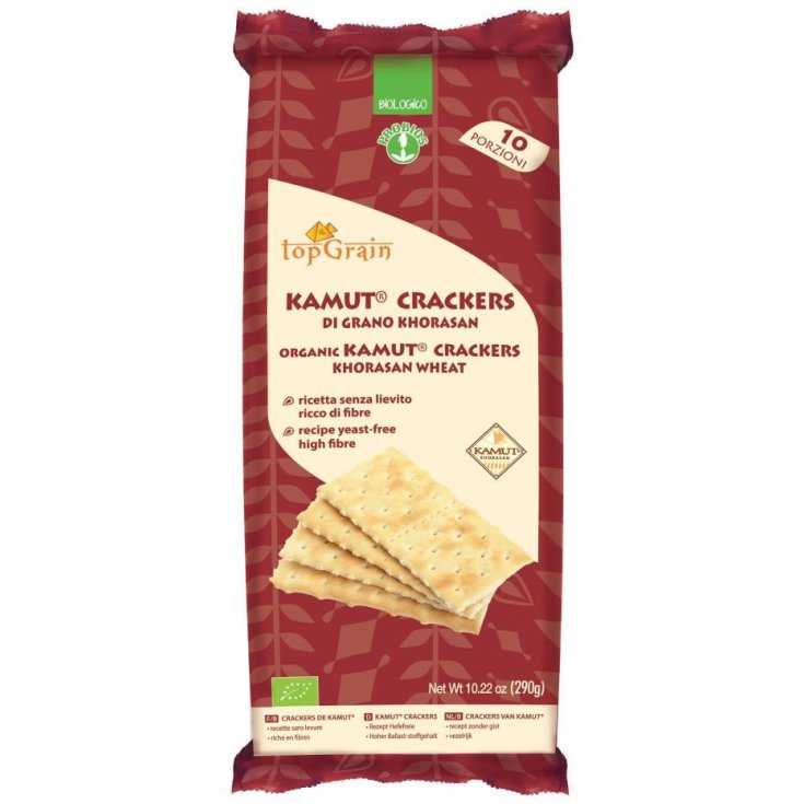 CRACKERS KAMUT TGR 290G