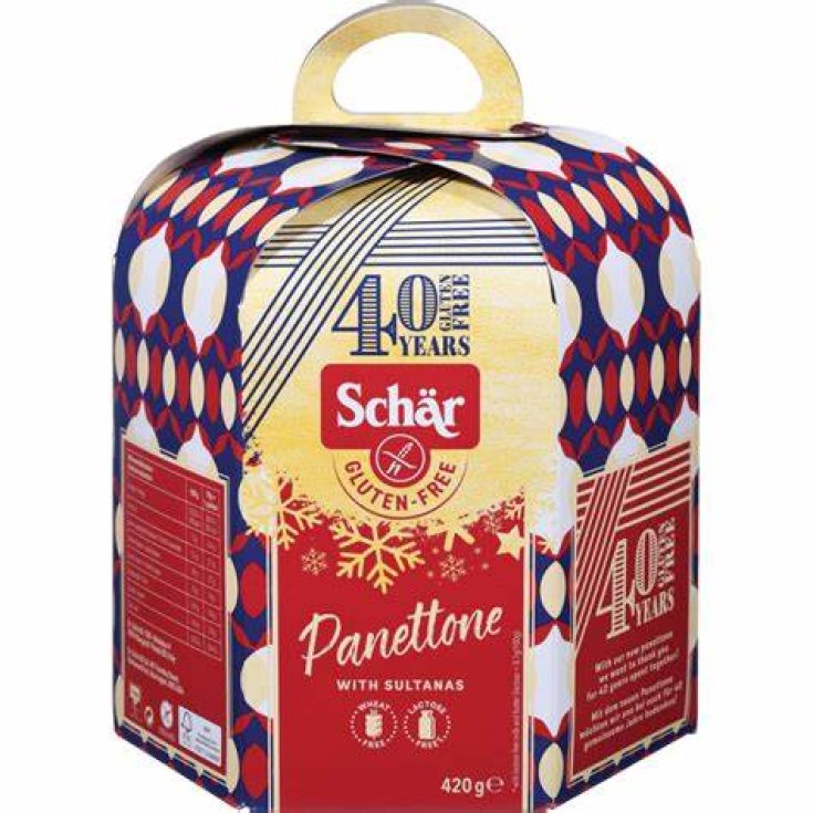 Panettone Charbon Sans Gluten 420g