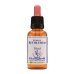 Étoile de Bethléem Healinghherbs 30ml