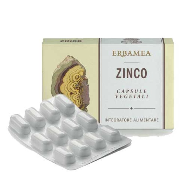 Zinc ERBAMEA® 24 Gélules Végétariennes