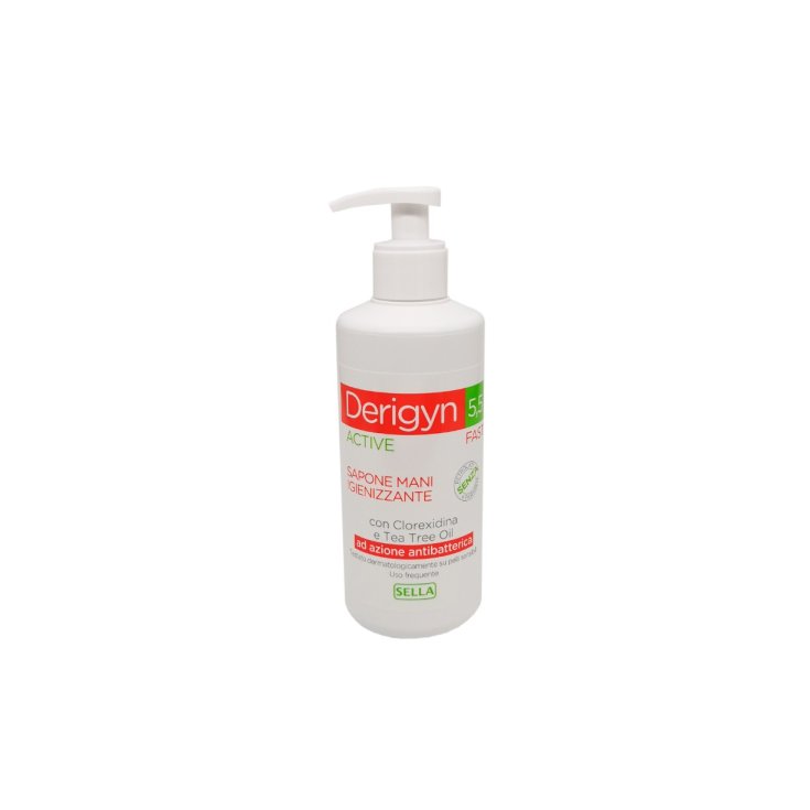 Derigyn Active Selle Savon Mains Désinfectant 300 ml