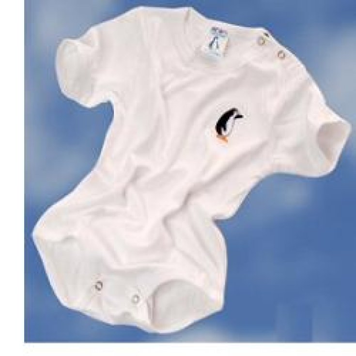 Body Bébé Coton Ecologique Taille M 1/3 Mois