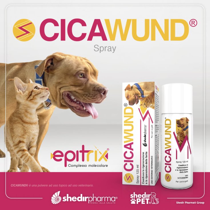 CICAWUND® SPRAY ShedirPharma® 125ml