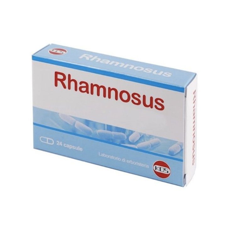 Rhamnosus 10 Mld KOS 24 Gélules