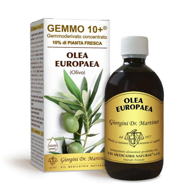 Olivo Gemmoderivato Concentré Gemmo10 + Dr. Giorgini 500ml