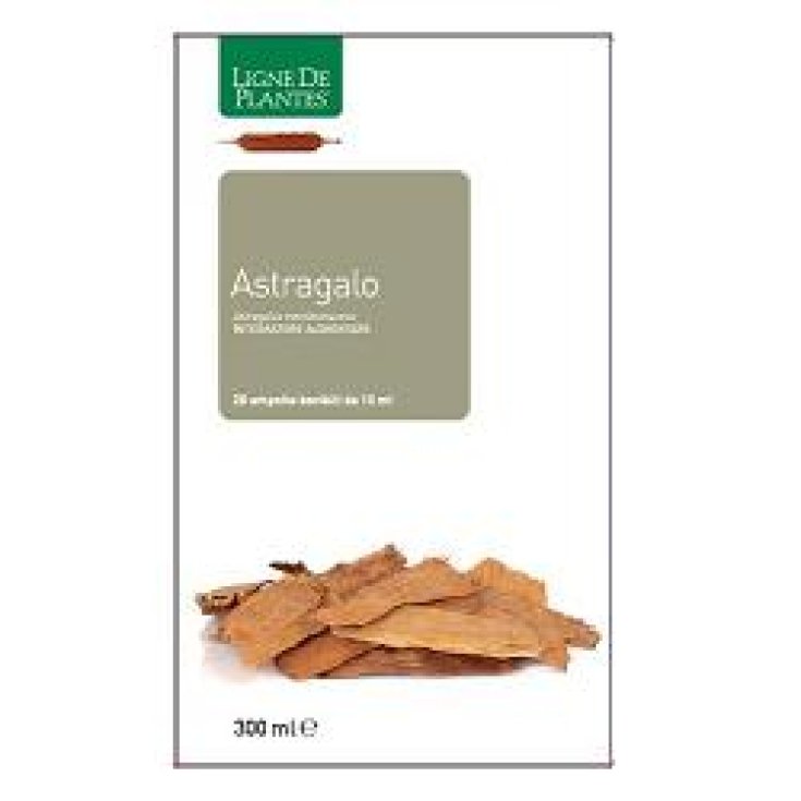 ASTRAGALE 20 AMPOLLES 15ML