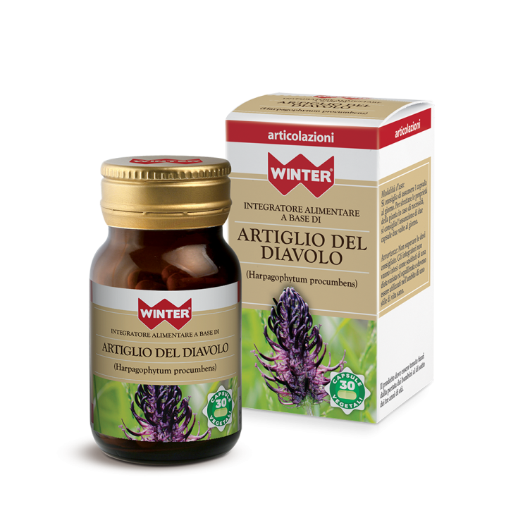 Griffe du Diable HIVER® 30 Capsules Végétariennes