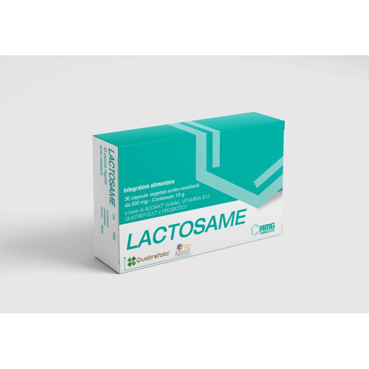 Lactosame Smg Pharmaceuticals 30 Gélules