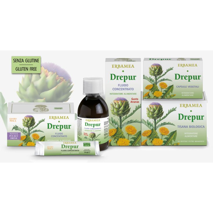 DREPUR FLUIDE ERBAMEA 20 Sachets 10ml