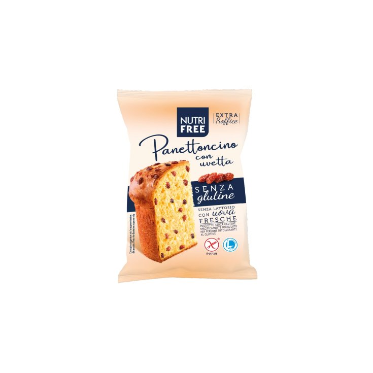 NutriFree Panettoncino Aux Raisins Secs 100g