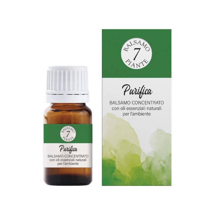 BAUME AUX 7 PLANTES ESSENCE PURIFIANTE 15ml