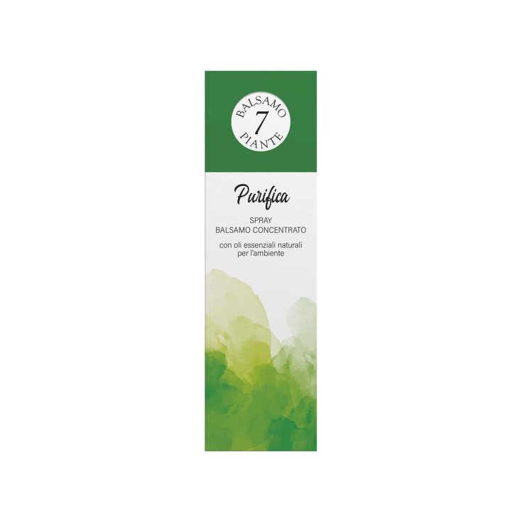 BAUME 7 PLANTES SPRAY SANS GAZ PURIFIANT 180ml