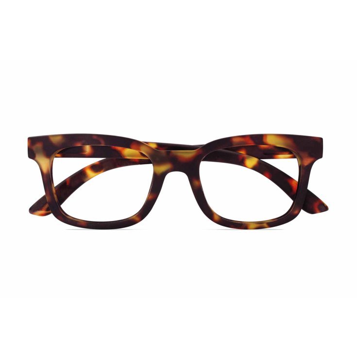 LUNETTES DE LECTURE LOOK OPTIQUE +1,50