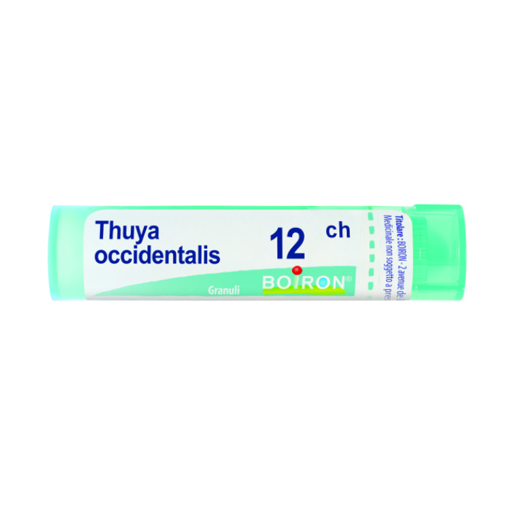 Thuya Occidentalis 12CH Boiron Granules Homéopathiques