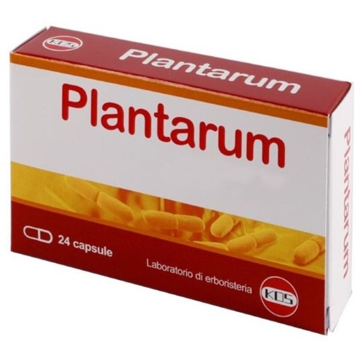 PLANTARUM 10MLD KOS® 24 Gélules