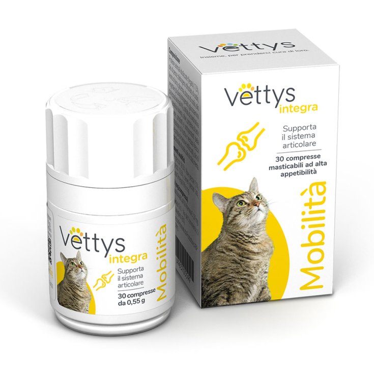 Mobility Cat Vettys Integra 30 Compression