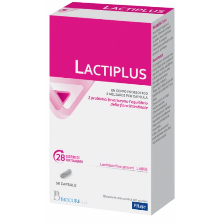 LACTIPLUS BIOCURE 56 Gélules