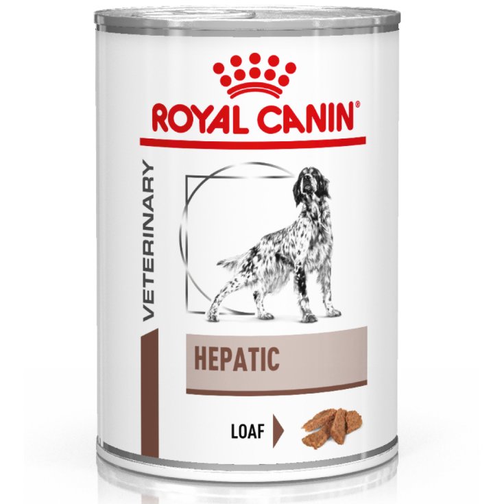 VHN W CHIEN HEPATIQUE 420G