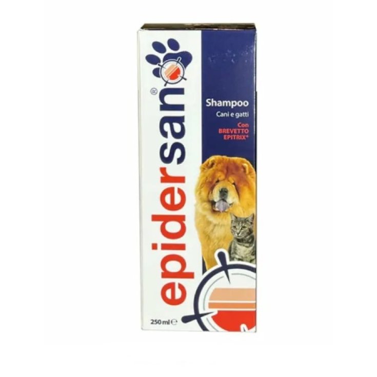 EPIDERSAN SHAMPOING 250ML