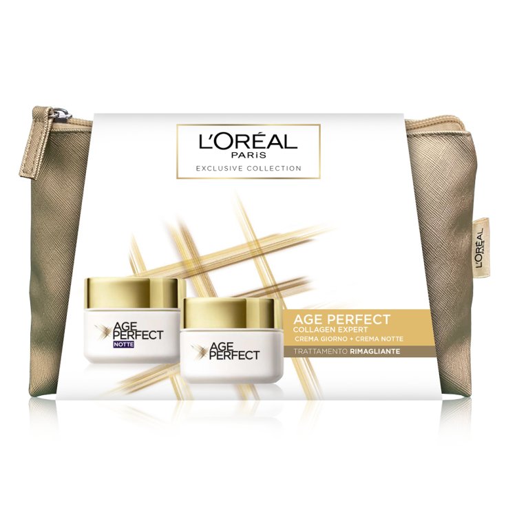 L'OREAL PARIS POCHE A JANTE NAT22