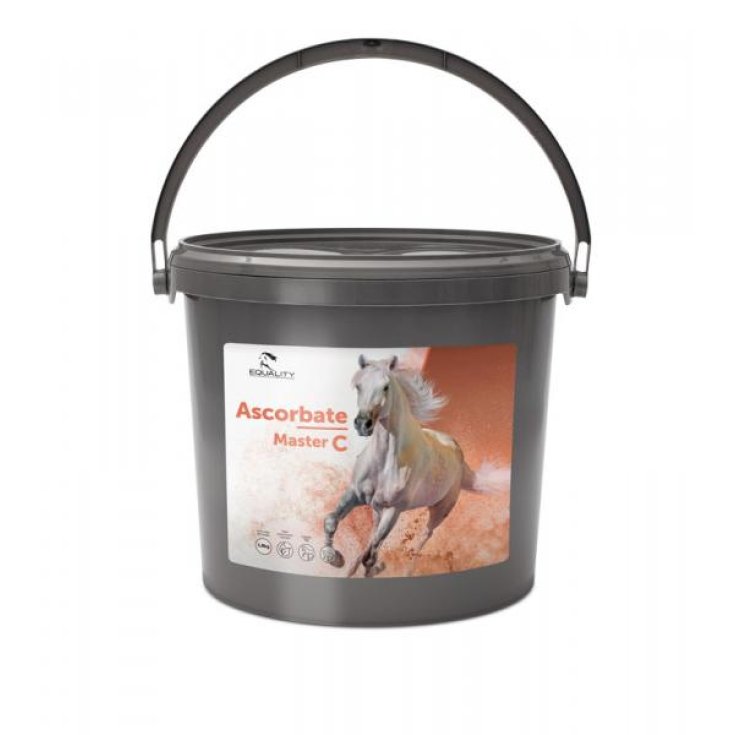 BARRE ASCORBATE MASTER C 1,8KG