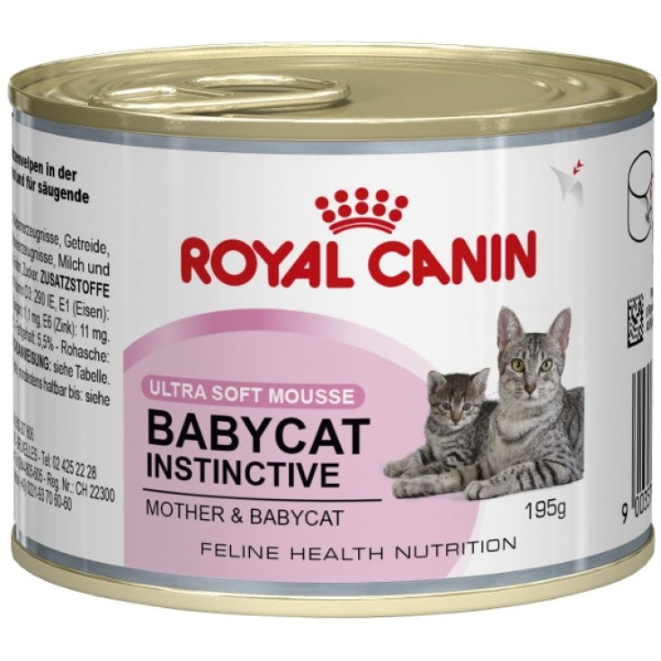 WF CHAT BABYCAT INSTICTIF 195G