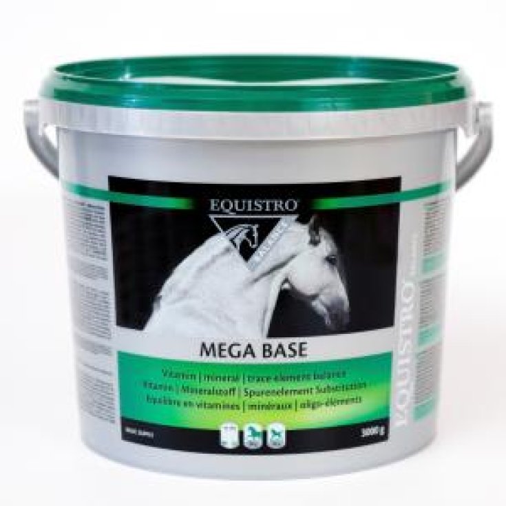 MÉGA BASE EQUISTRO 3KG