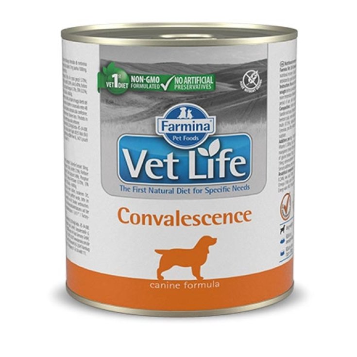 VET LIFE CHIEN CONVALESCENCE300G