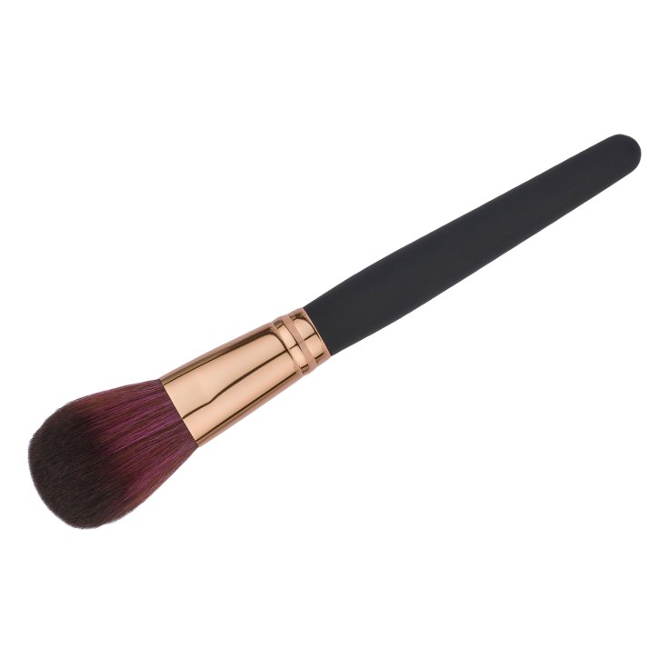 PROFESS BT276 BROSSE POUDRE