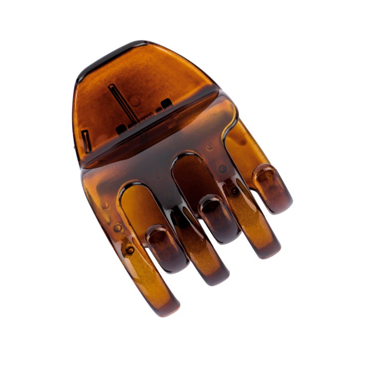 TORTUE PINZOTTO BEAUTYTIME