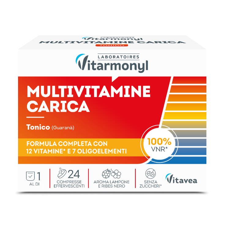 CHARGE MULTIVITAMINES 24CPR