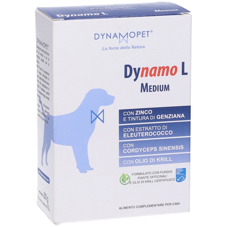 DYNAMO L MOYEN 20BUST 10G
