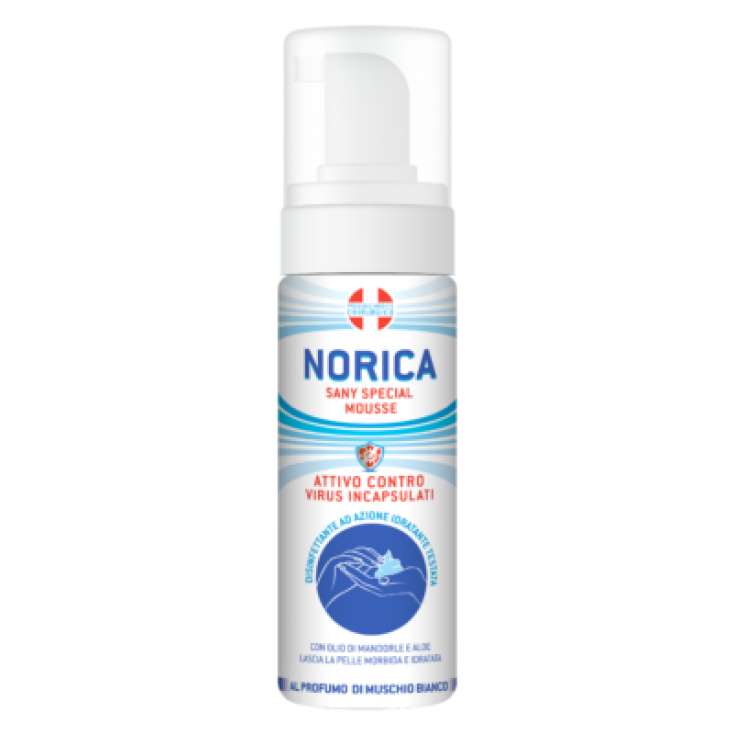 NORICA MOUSSE DESINF MAINS100ML