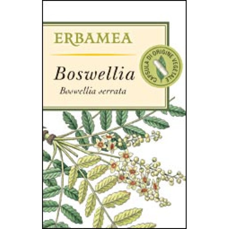 BOSWELLIA 50OPR