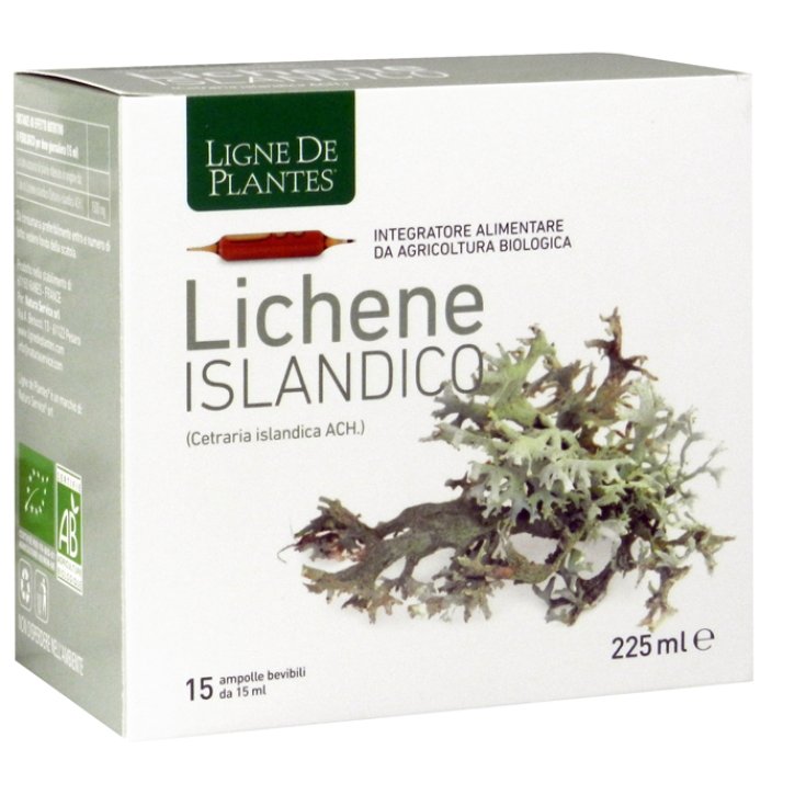 LICHEN ISLANDAIS 15AMPX15ML