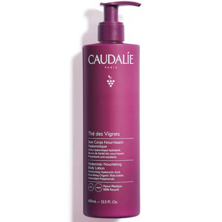 SOIN CORPS TDV 400ML 22
