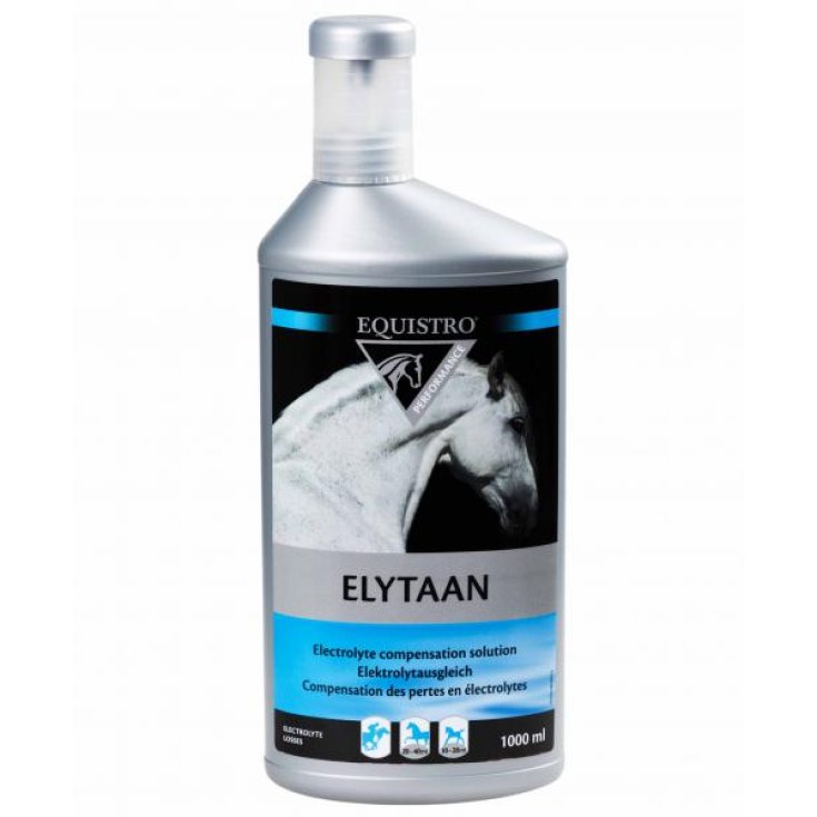 ELYTAAN EQUISTRO 1LT