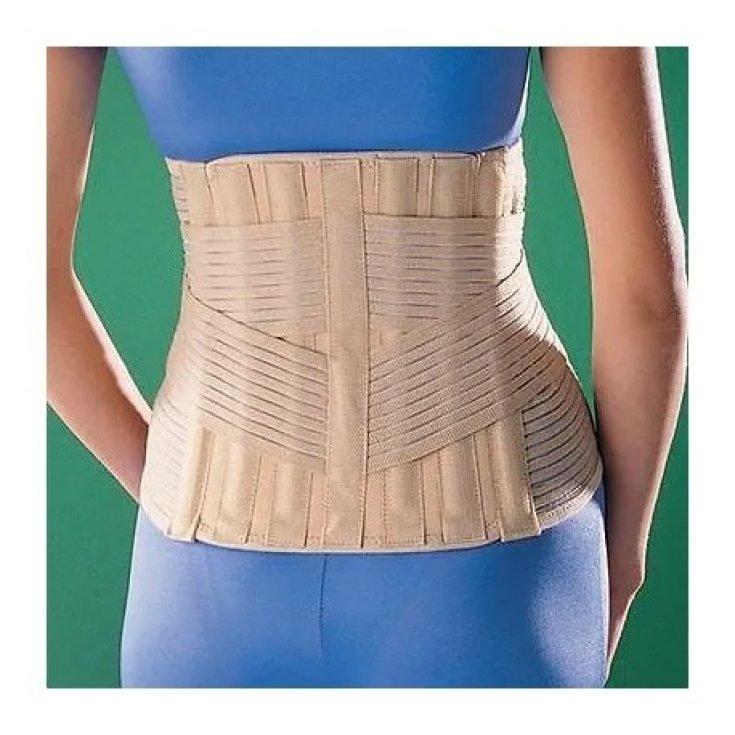 SUPPORT LOMB SACRÉ 2368 L