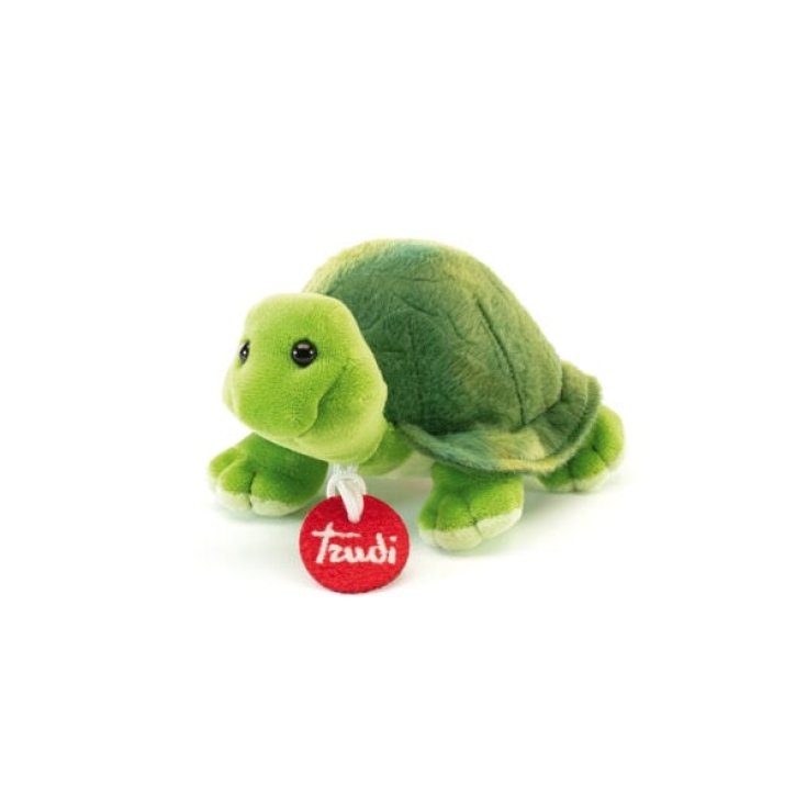 TORTUE TRUDINO