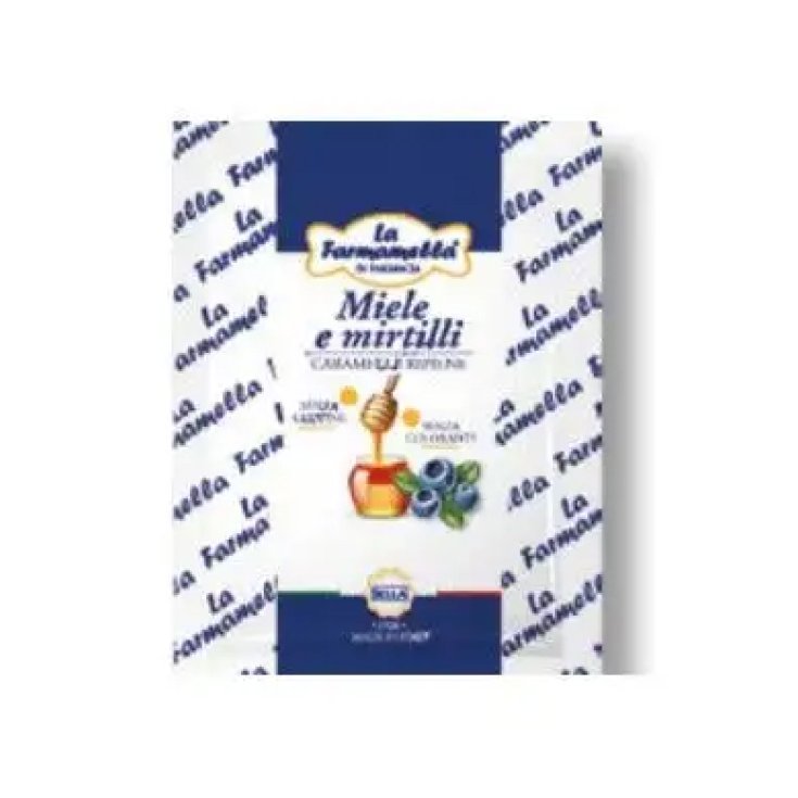 FARMAMELLA MIEL/BLEUETS 100G