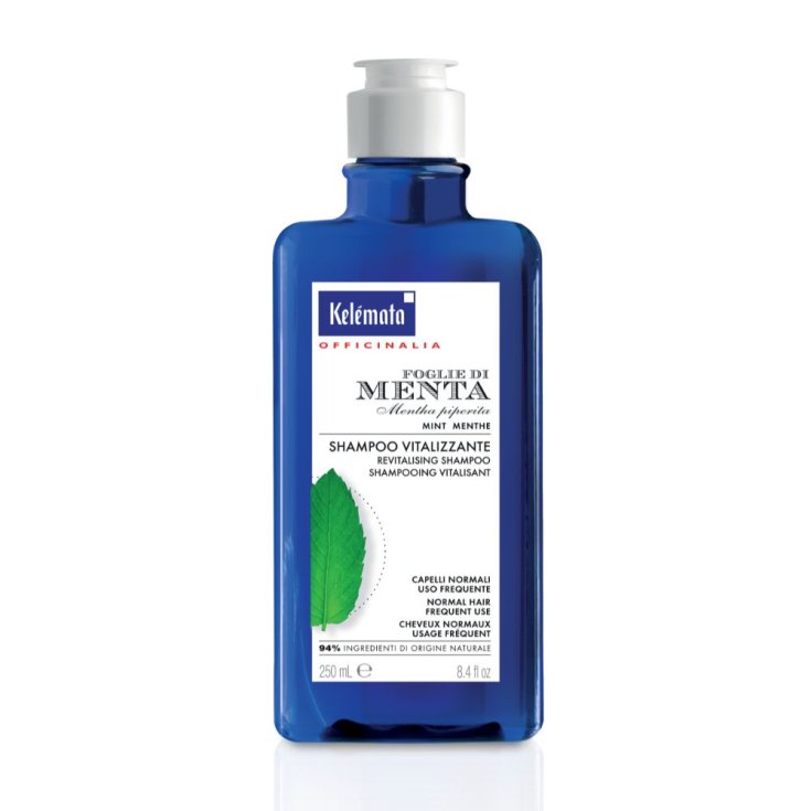 SHAMPOOING MENTHE 250ML