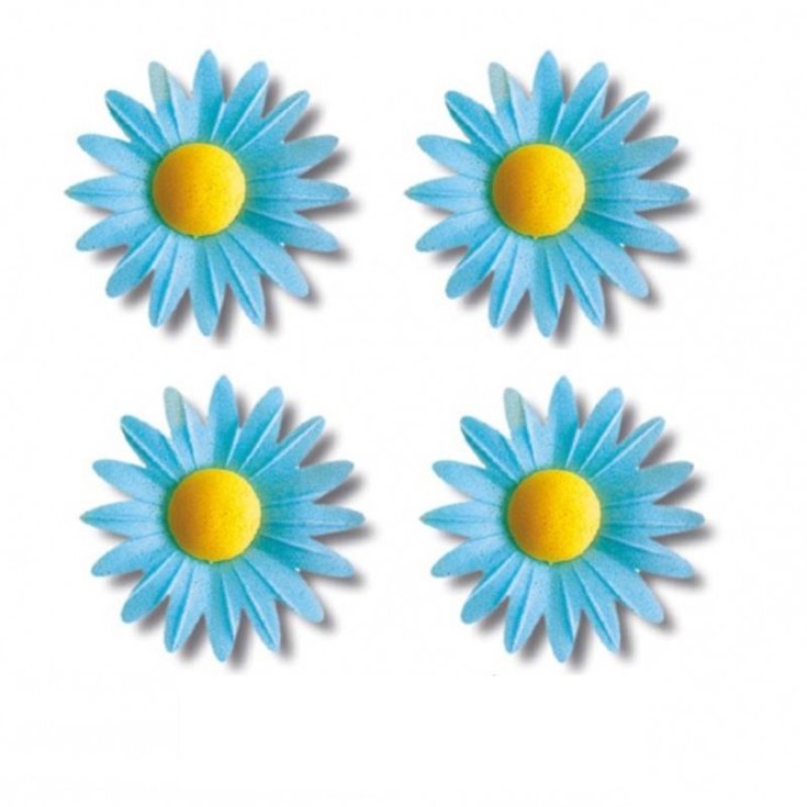 IPAFOOD MARGUERITES OSTIA CEL