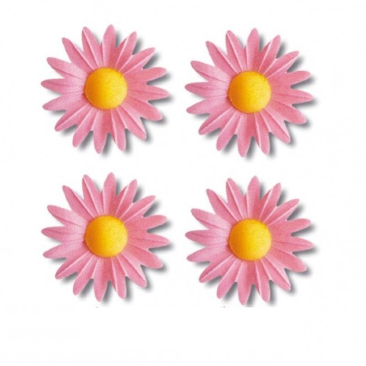 IPAFOOD MARGHERITA OSTIA ROSE