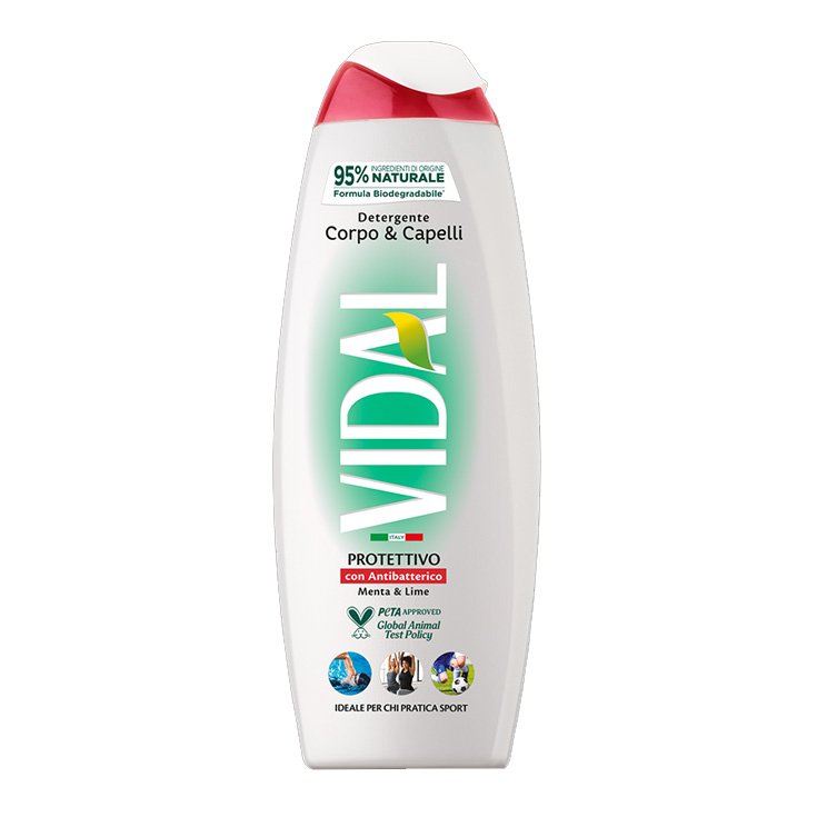 VIDAL NEW D/S ANTIBACTÉRIEN 250 ML