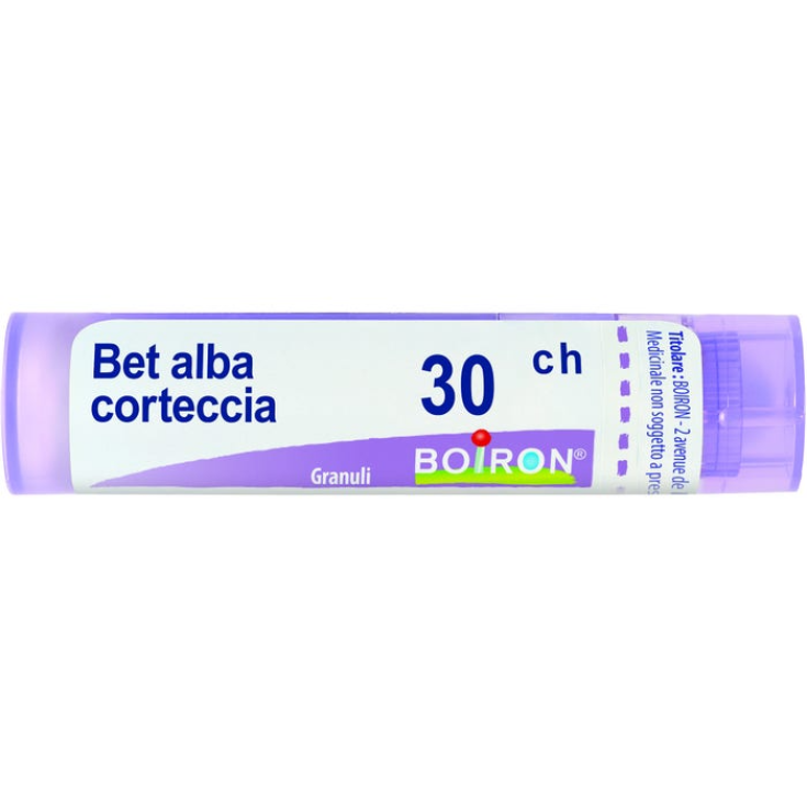BOULEAU ALBA 30CH GR