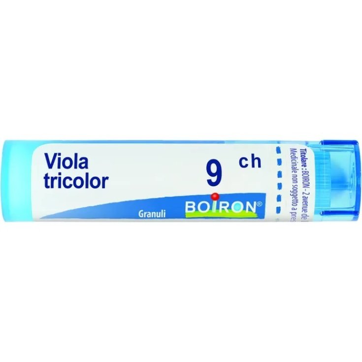 VIOLET TRIC 9CH GR