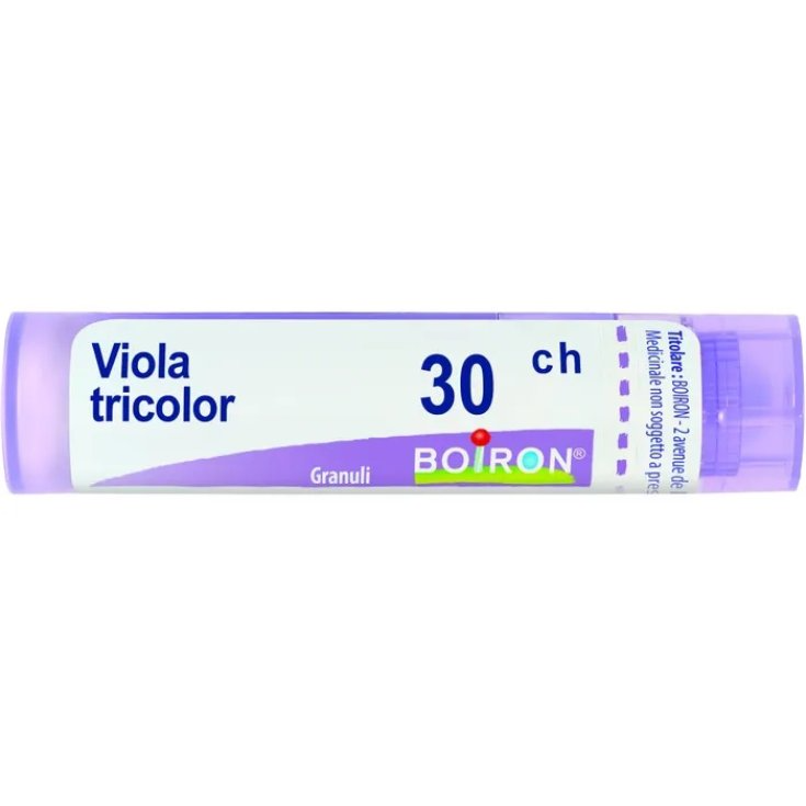 VIOLET TRIC 30CH GR
