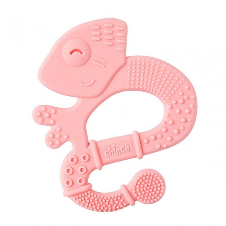 CH MASSAGE CAMELEON