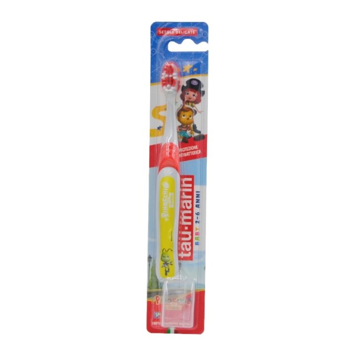 TAU MARIN BROSSE A DENTS BB ANTIBA